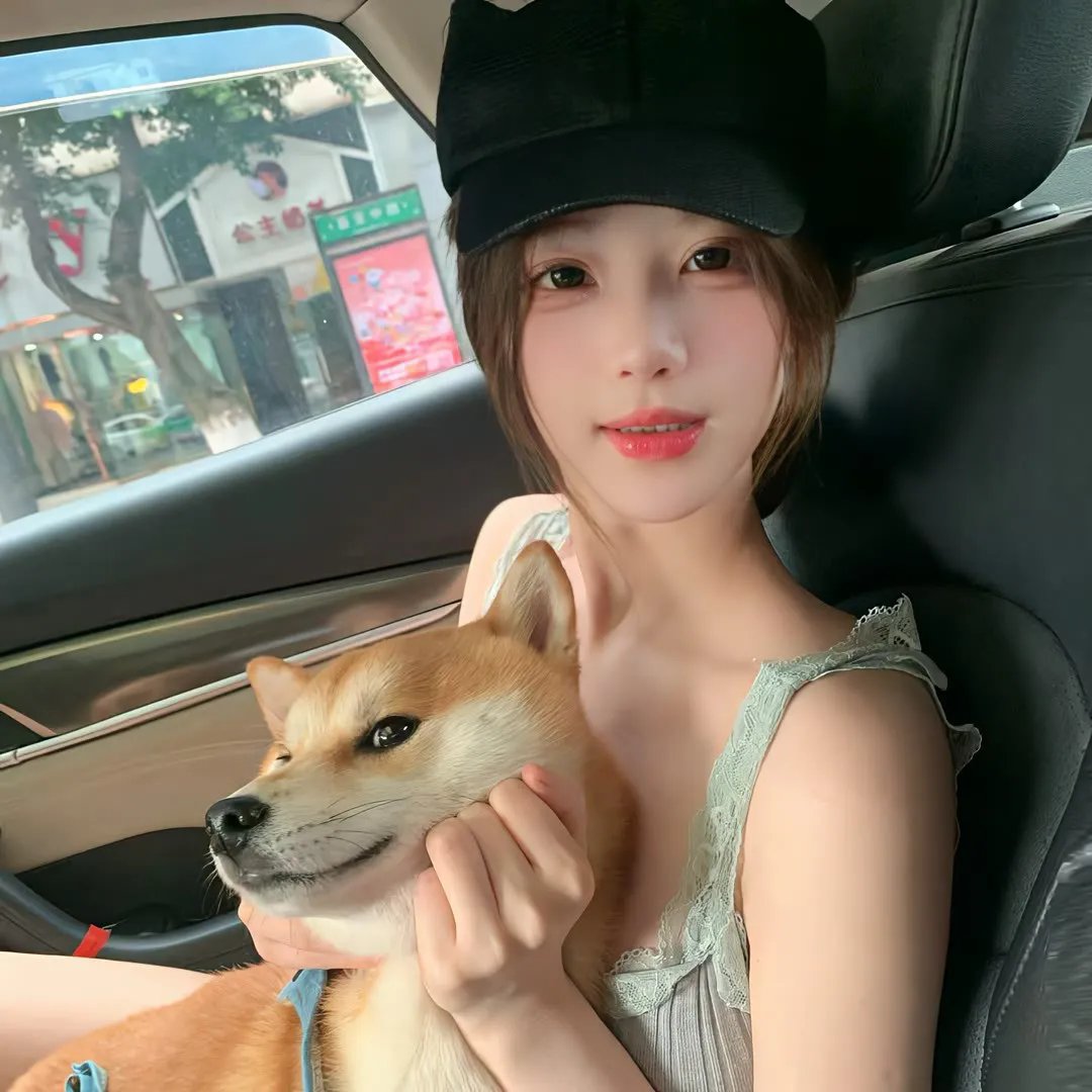 完美分身封面